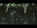 나무 잎에서 물방울 떨어지는 소리 / The sound of dripping from a tree leaf / 1시간 뒤 화면 블랙