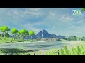 calm place.... Relaxing video game music (Zelda music) to studying, sleep, work