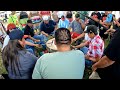 White Tail Boys @ Fort Randall Powwow 2024