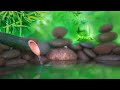Bamboo Water Fountain Relax & Get Your Zen On Relaxing Music, Meditation Music, Calm - Bamboo Water