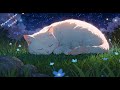 밤하늘 아래 잠든 하얀 고양이의 꿈- LoFi/뉴에이지음악/피아노연주 힐링 타임 🌙🎹 / 고양이와 함께 듣는 음악