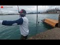 5 Best Baronang Fishing Spots || Get to know Baronang Spots and Nests So You Can Get Lots of Fishing