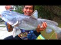 Ketar Ketir & Gemetaran!!! detik-detik menegangkan menaklukan ikan baung MONSTER