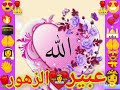 وخدوني والله معاكم يا زوار النبي🕋🤲🌹💝👏😍💞