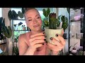 June Plant Favorites | Hoya, Anthurium, Monstera, Raphidophora, Cactus 🌿😍
