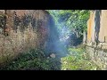 Surprised to see giant fig tree growing in the middle of the house | Cut down fig tree and clean up