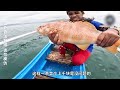 東星斑當餌，魚獲大得直接把女孩拽下海，看到大魚的那刻驚呆了！