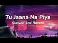 Tu Jaana Na Piya (Slowed and Reverb) - KING