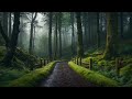 Calming Rain :: Afternoon in Nottingham Forest, England [ ASMR ]
