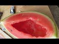 watermelon 👹