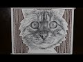 Cat Stare | Amazing Scribble Art Doodle by Jon Harris
