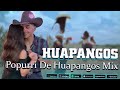 Mix de Huapangos 2024 ~ Popurri De Huapangos Chingones Mix ~ Para Bailar Zapateado