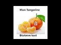 Man Tangerine pog