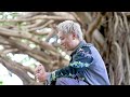 【ガジュマルの樹の下で】 MV / ジャアバーボンズ(JaaBourBonz)