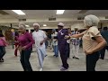 DMV Senior Hand Dancers Channel 4/23//2024 Diane and Teresa  birthday celebration