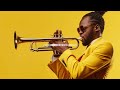 𝐏𝐥𝐚𝐲𝐥𝐢𝐬𝐭 | Summer Jazz Hiphop EP.28 (with Trumpet)