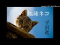 平沢進-地球ネコ