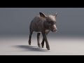 Automation of Creature FX in a Small Studio Pipeline | Bacon X | FMX HIVE 2022