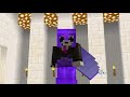 I ran for President on my Brothers SMP...