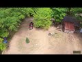 A Forest Spring - FPV Freestyle