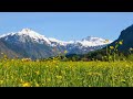 Calm and Soft Piano Music to Relax - Beautiful Mountain Views