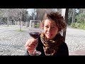 CONCHA Y TORO: Como é o tour e a degustação na MAIOR vinícola do Chile e qual é o valor?