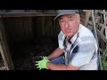 Composting: Essential Tips Don't Forget to Do This! || Don't Skip This Crucial Composting Step!