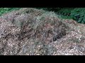 Composting Conifers