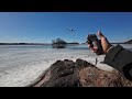 DJI Mini 4 Pro with Goggles and MC2