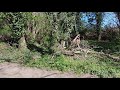 Apeman A100 Action Camera Testing - Gentle walk around Langley Vale Centenary Woodland