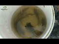Spot Mancing angker‼️bikin bulu kuduk sampai berdiri | Solo Fishing