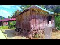 walking in the village of Sibanggor Indonesia|a village with unique houses and customs
