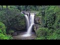 2 Hours Dschungel Sound | Bali Dschungel | Soundscape