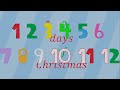 12 Days Of Christmas - Mathecreatures cover