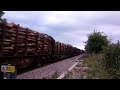 Colas rail 60026 pass Balderton level crossing working 656X