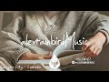 Read & Relax 📖 - A Peaceful Folk/Pop Playlist For Reading