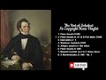 The Best of Schubert 🎻🎻 No Copyright Music Playlist