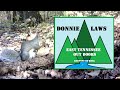 Appalachia Wildlife Video 23-45 of As The Ridge Turns in the Foothills of the Smoky Mountains