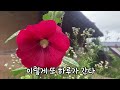 마당에 핀 꽃을 보다 든 생각/물처럼 살고 싶다