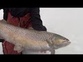 Ice Fishing Giant Brown Trout