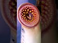 Parasitic lamprey stuck on your screen