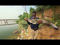 தமிழ்நாட்டில் பிடித்த🐟🎣 மனிதரேயே😯 முழுங்கும் மீன் -  Wallago Attu Fishing - Spoon Lure Fishing