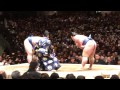 A quick sumo match