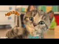 Litle Kitten Alone At Home - Kids Cartoons Games | Funny Videos