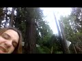 Rowan Film of our Old Growth Redwood June 7, 2022