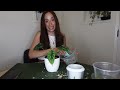 how to grow plants in pon✨| what plants love pon | why, when + how to use pon💫