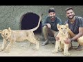 Meet The Pakistan Boy Who is a Friend of All Animals he is @shehrmaindihat