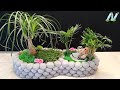 Make mini Bonsai garden with beautiful Nolina and Fountain