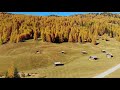 Fall colors - Tirol, Austria | Mavic Air | 4K