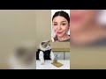 That Little Puff | Cats Make Food 😻 | Kitty God & Others | TikTok 2024 #73